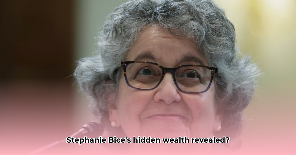 stephanie-bice-net-worth